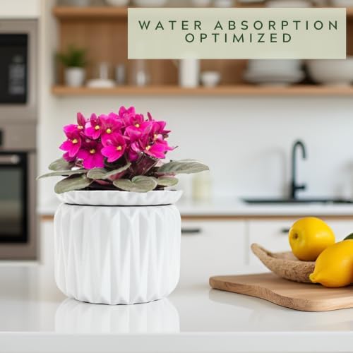 6 Inch African Violet Pots Self Watering, 2 Pack, Ceramic Pot with Water Reservoir and Fill Lines, 4 Inch Opening, Indoor Flower Planter, Holds 3 Weeks of Water - Image 2
