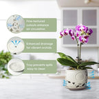HERDUK Ceramic Orchid Pot, Orchid Pots with Drainage Holes & Saucer 6.5 Inch,Orchid Pot for Repotting Indoor, Orchid Containers with Precise Aeration & Drainage - Image 3