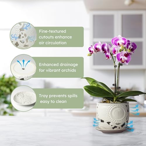 HERDUK Ceramic Orchid Pot, Orchid Pots with Drainage Holes & Saucer 6.5 Inch,Orchid Pot for Repotting Indoor, Orchid Containers with Precise Aeration & Drainage - Image 3