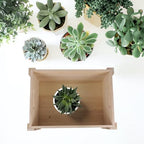 Rectangle Planter Box, Wooden Rustic Vintage Pot for Plants - Image 5