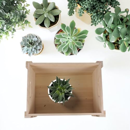 Rectangle Planter Box, Wooden Rustic Vintage Pot for Plants - Image 5