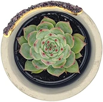 4 Inch Crystal Plant Pot with Saucer - Cement Geode Planter - Concrete Pots for Plants - Modern Succulent Pot Indoor - Unique Air Plant Holder - Candle Holder - Small Plant Home Decor (Red Garnet) - Image 5