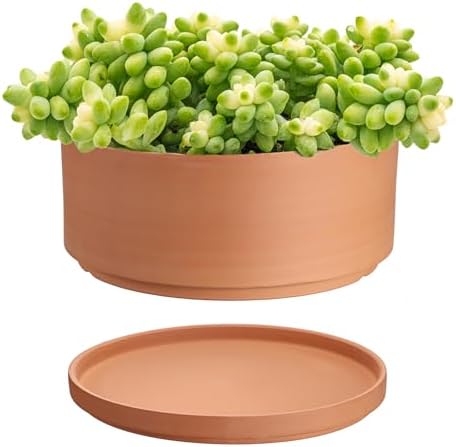 JUXYES 10 Inch Shallow Terracotta Pots with Holes and Saucers for Succulent by JUXYES