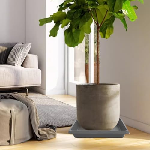 Plant Saucer 12 Inch Square 4 Pack, Plastic Plant Drip Trays, Plant Saucers for Indoors and Outdoors, Flower Pot Saucers, Saucers for Potted Plants, Planter Saucer, Plant Water Catcher Trays for Pots - Image 7