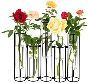 Glass Test Tubes Vase with Stand for Flowers, Black Hinged Bud Vase with Metal Stand Racks Hydroponic Set of 5, Adjustable Pipe Plant Vases Display Set for Table Centerpieces Wedding Decoration by Bigsee