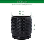 D'vine Dev Beaded Ceramic Pot with Saucer, 8 in, Ebony Matte, 27-C-Q-6 - Image 3