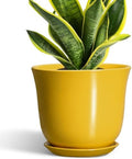 Ceramic Pots for Plants - 8 Inch Plant Pot for Indoor Outdoor, Round Planter with Drainage Hole and Tray, Decorative Flower Pot, Modern Planter, Home Patio Decor, House Warming Gift, Yellow by SUNPOTFOR