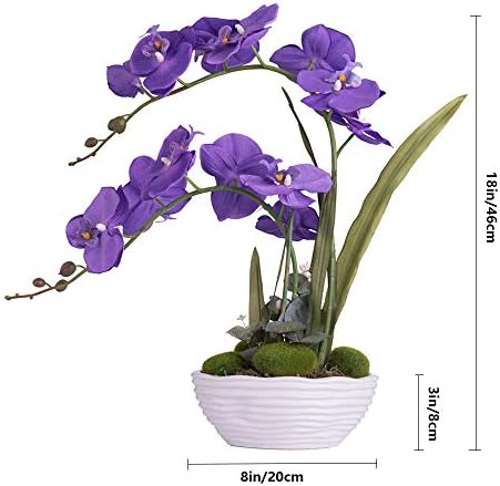 Large Silk Potted Orchid Arrangement in Oval Ribbed Ceramic Pot, Purple - Image 7