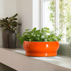 Bonsai Pots - 13 Inch Ceramic Succulent Pots with Drainage Hole and Saucer, Shallow Planter for Indoor Outdoor, Bonsai Planters, Large Planter Bowl, Porch Decor, Gift for Plant Lover, Orange - Image 6