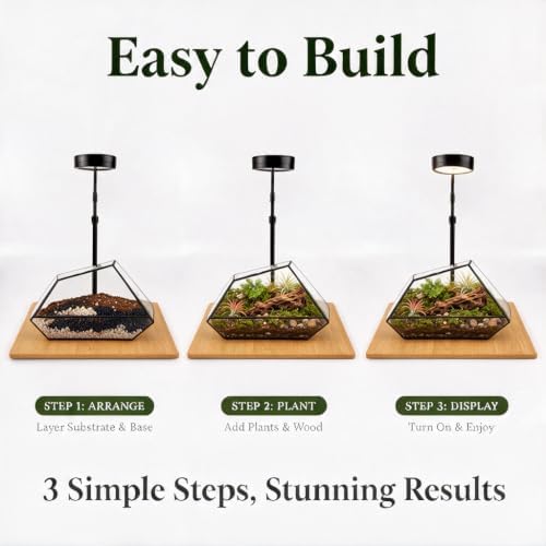 Luckyrunes Complete Glass Terrarium Kit with Live Moss, Polygon - Image 5