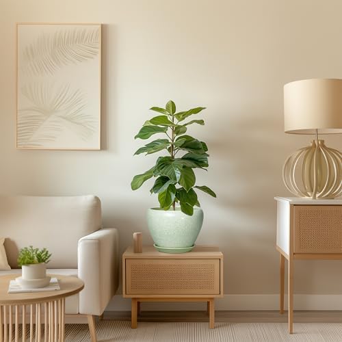 Ceramic Planter, 8 Inch Plant Pot, Crackle Light Green - Image 7