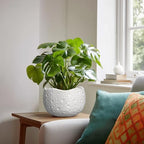 Ceramic Plant Pot, 8 Inch Round Planter with Drainage, White - Image 3