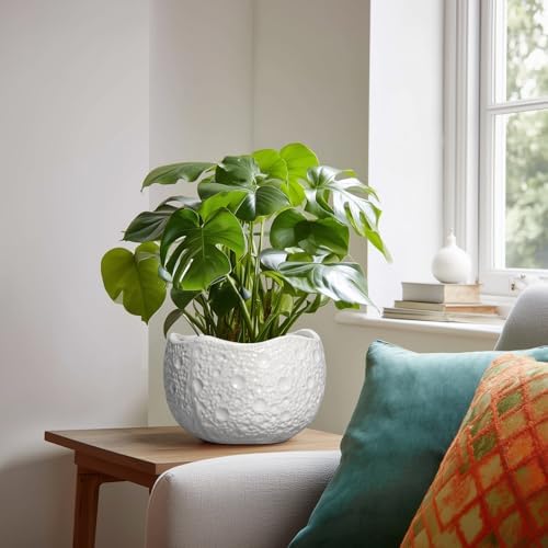 Ceramic Plant Pot, 8 Inch Round Planter with Drainage, White - Image 3