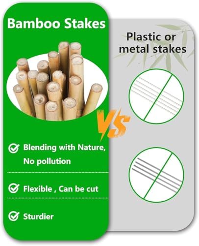 Natural Bamboo Plant Stakes (6ft-50pcs) - Image 4