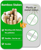 Natural Bamboo Plant Stakes (6ft-50pcs) - Image 4