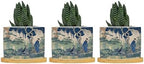 Blue and Green Ceramic Planters Asian Chinoiserie Life Flower Pots for Indoor Plants with Drainage Holes and Saucers Pot for Outdoor Garden Home Plant by BRUYU5SE