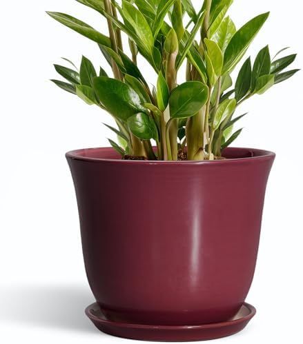 Ceramic Plant Pots, 10 Inch Plant Pot, Red by SUNPOTFOR