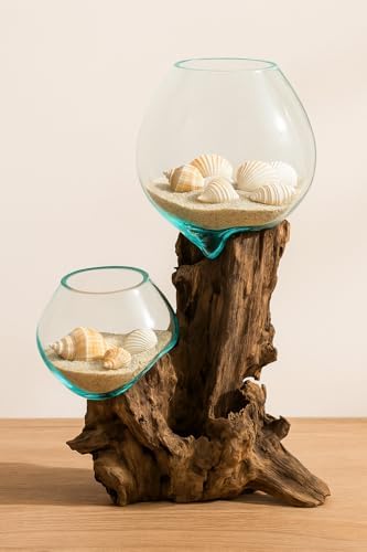 Cape Craftsmen 12" Hand-Blown Blue Tinted Bubble Glass On Natural Teak Driftwood Terrarium Kit | Home Décor Indoor Planter with Stand | Pot for Succulent and Plants - Image 5