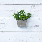 Root & Vessel Self Watering Wall Planters for Indoor or Outdoor Plants, Unique Marbled Wall Pot, Made of Eco-Friendly Blend of Stone and Plastic, Gray, 8.5" - Image 4