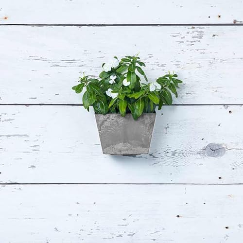 Root & Vessel Self Watering Wall Planters for Indoor or Outdoor Plants, Unique Marbled Wall Pot, Made of Eco-Friendly Blend of Stone and Plastic, Gray, 8.5" - Image 4