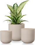 vancasso Ceramic Plant Pots, 4+5+6 inches, Set of 3, Planters with Drainage Hole, Flower Pots Planters Pots for Indoor Plants, Modern Indoor Decorative Garden Pot, Home Decor, Gray by vancasso