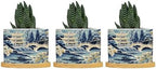Blue and White Chinoiserie Asian Ceramic Planter Rain Chinoiserie Snake Plant Live Indoor with Pot with Drainage Holes and Saucers Pot for Home Desktop Office Windowsill by BRUYU5SE
