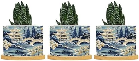 Blue and White Chinoiserie Asian Ceramic Planter Rain Chinoiserie Snake Plant Live Indoor with Pot with Drainage Holes and Saucers Pot for Home Desktop Office Windowsill by BRUYU5SE