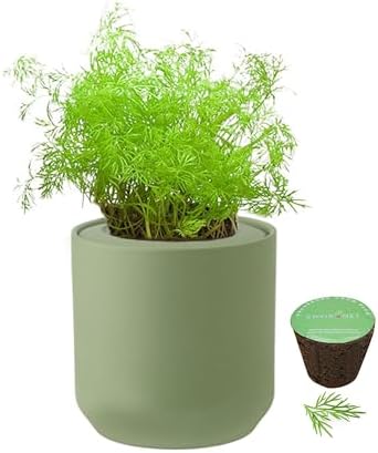 Hydroponic Herb Growing Kit, Self-Watering Kitchen Herb Garden Starter Kit with Green Ceramic Pot and Seeds (Dill) by Environet