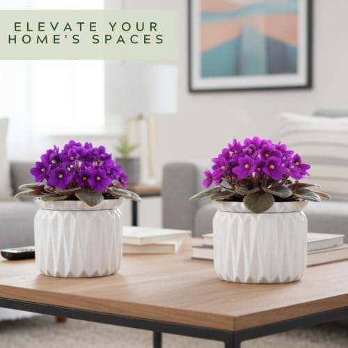 6 Inch African Violet Pots Self Watering, 2 Pack, Ceramic Pot with Water Reservoir and Fill Lines, 4 Inch Opening, Indoor Flower Planter, Holds 3 Weeks of Water - Image 6