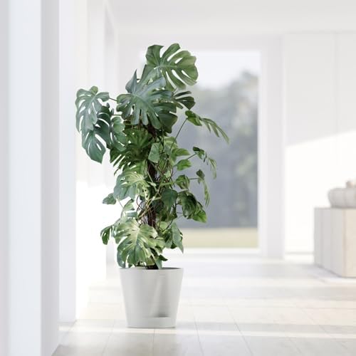 Ecopots Venice 2 Round Flower Planter with Water Reservoir, Pure White, 12" - Image 5