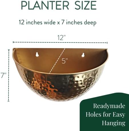 Allegorie Metal Wall Planter | Indoor or Outdoor Hanging Plant Pot | Farmhouse Decor & Boho Kitchen Decoration for Herbs & Succulents and Living wall 12x7 (Gold) - Image 4