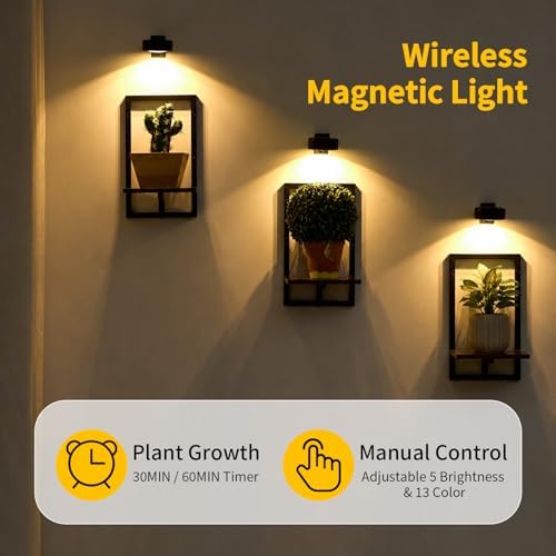 Wall Plant Holder with Grow Lights, Picture Frame Plant Shelves (3, Brown) - Image 4