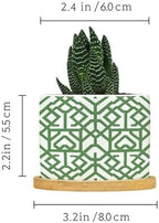 Grey Sage Green Century Ceramic Planter Snake Plant Live Indoor with Pot with Drainage Holes and Saucers Pot for Home Office Desk Garden - Image 2