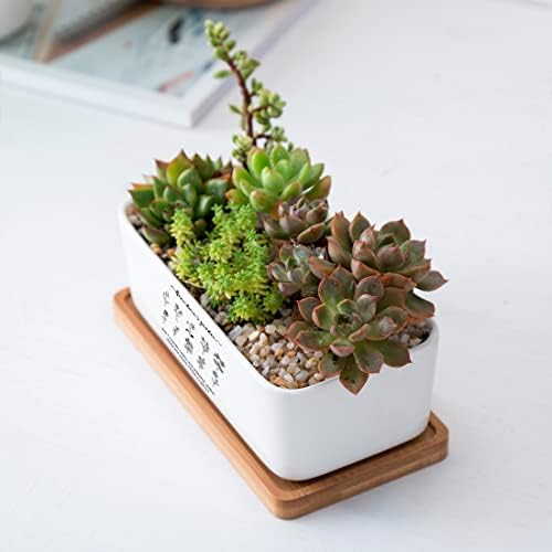 Personalized Birth Month Flower Plant Pot with Kids Names,Custom Grandma's Garden Ceramic Succulent Planter with Bamboo Tray Indoor Outdoor Home Decor Plants, for Mom Grandma,B4 - Image 5