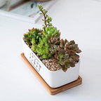Personalized Birth Month Flower Plant Pot with Kids Names,Custom Grandma's Garden Ceramic Succulent Planter with Bamboo Tray Indoor Outdoor Home Decor Plants, for Mom Grandma,B5 - Image 5