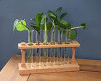 hBARSCI Premium Plant Propagation Station - Decorative Hardwood Stand with 6 Glass Tubes for Plant Cuttings, Hydroponic Plants, Flower Vase Home Decor - Image 2