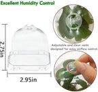 30 Pcs Plant Nursery Pots with Humidity Dome for Succulents & Seedlings - Image 4