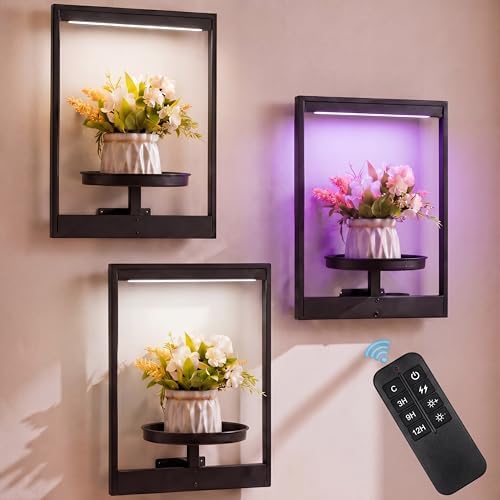 3 Pack Wall Plant Holders with Remote Grow Lights, Indoor Plants Holders, Plants Shelves Hanging Planters, Wall Mounted Framed Plant Holder for Indoor Living Room Decor by Yiyiring