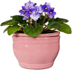 Self Watering Pot for African Violets Indoor Outdoor Plants, 6 inch, Pink by SanmudecorGarden