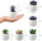 MyGift Blue & Green Artificial Succulent Plants, Ceramic Pots, Set of 6 - Image 6