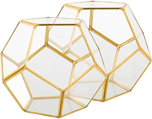 D'Eco Glass Gold Sphere Plant Terrariums & Centerpieces, 2 Pack - Image 3