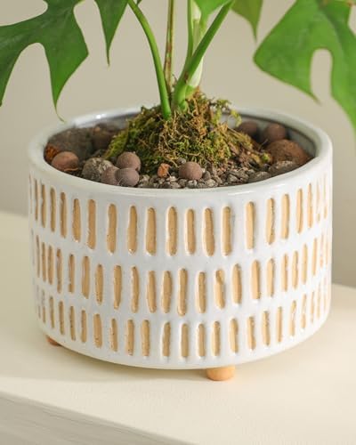 Fayoula Succulent Pots, 6 Inch Planters with Drainage Hole, Modern Indoor Plant Pots for Succulents, Herbs, Aloe, Snake Plant - Ceramic Home Décor, Set of 2 - Image 6