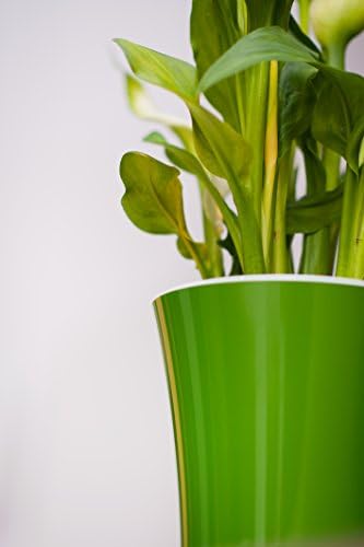 Santino, Self Watering Planters Arte 7.7 Inch Green/Black, Indoor Flower Pots for All House Plants, Flowers, Herbs, Succulents, Set of 3 - Image 5