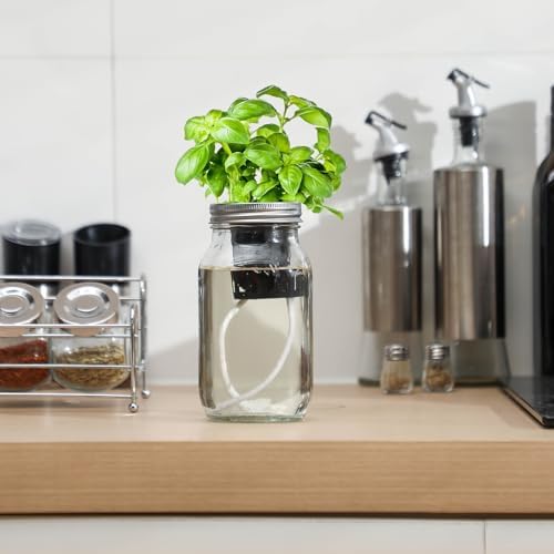 Teenyyou 6 Set Hydroponic Mason Garden Jar Kit Self Watering Herb Hydroponic Planter Starter Kit with Net Pot Garden Flower Plant Growing Gift for Indoor Herbs Windowsill Gardening - Image 5