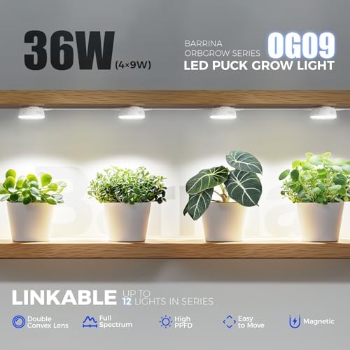 Barrina OG09 Puck Grow Light, 36W(4 x 9W), 5000K, Timer, 4 Packs, White - Image 3