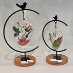 WGV Glass Hanging Plant Terrarium Bulk, Width 5", Height 5", Heart Valentine DIY Succulent Air Planter Clear Tea Light Votive Candle Holder for Event Home Garden Outdoor Decor, 6 Pieces - Image 6