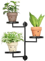Window Plant Shelf, Wall Mounted Rotating Plant Holder Indoor by YFFSRJDJ
