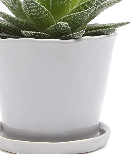 CHIVE ‘Tika’ Big Succulent Pot — 5” Cute Planter Pots for Indoor Plants — Beautiful Modern Decor for Home & Kitchen — Grey - Image 2