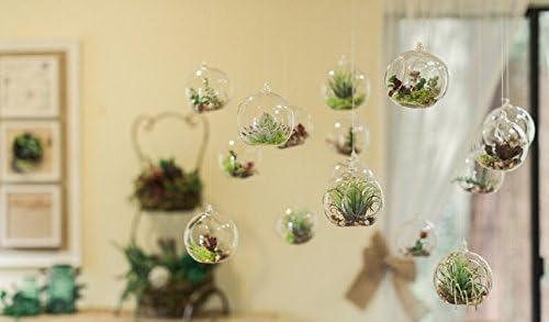 80MM Hanging Tealight Holder Glass Globes Terrarium Wedding Candle Holder Candlestick (18 Pcs/Set) - Image 2