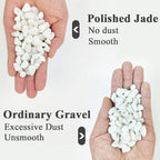 YISZM 10LB Succulent and Cactus Gravel Pebbles, 3/8 Inch White Stones - Image 2